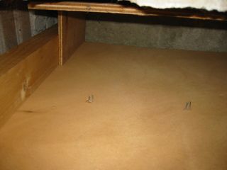 img 0539