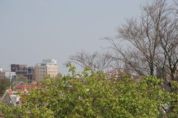IMG 3784