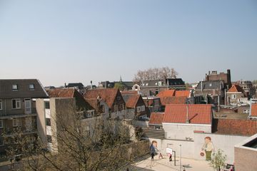 IMG 3791