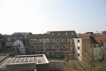 IMG 3793