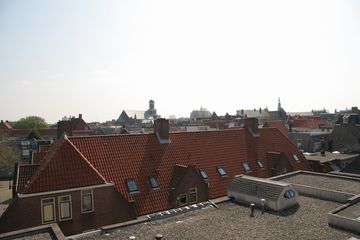 IMG 3796