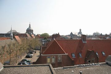 IMG 3797