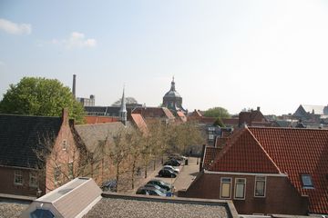IMG 3798