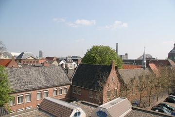IMG 3799
