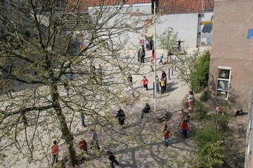 IMG 3837