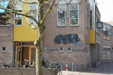 IMG 3886