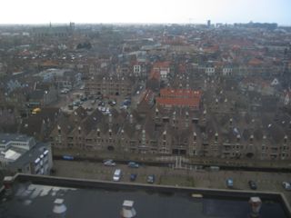 IMG 4679