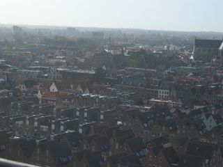 IMG 4724