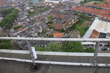 IMG 1756
