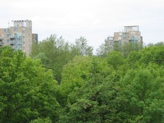 OBLste0013