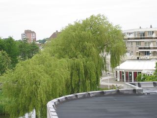 OBLste0017