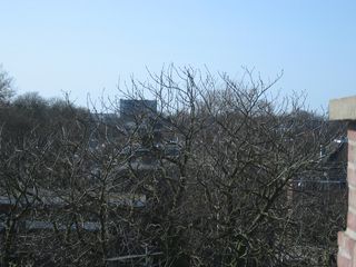 plantsoen 899