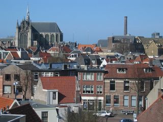 plantsoen 905