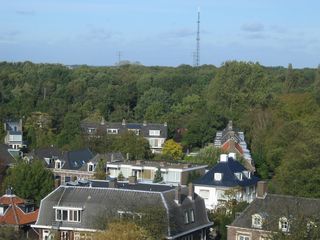 IMG 1613