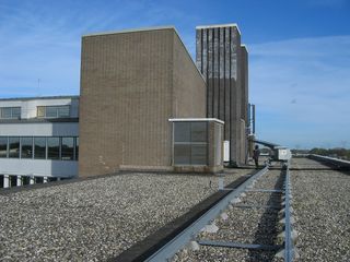 IMG 1620