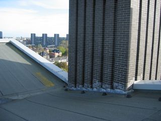 IMG 1625