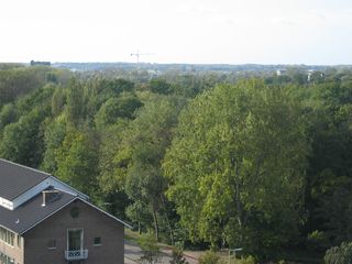 IMG 1632