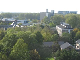 IMG 1634