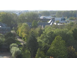 IMG 1635