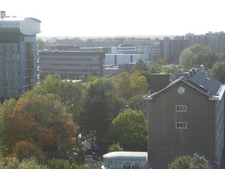IMG 1637