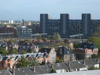 IMG 1647
