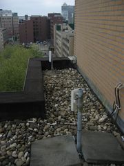 IMG 1091