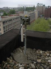 IMG 1092