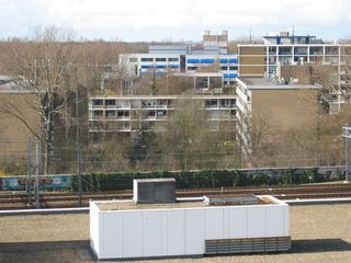 rabo maart 20040020