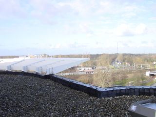 dsc00006
