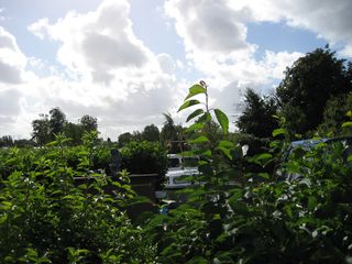 IMG 4379