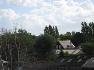 IMG 4388