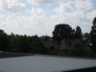 IMG 4391