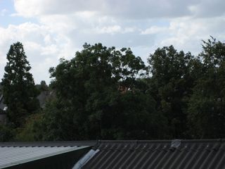 IMG 4392