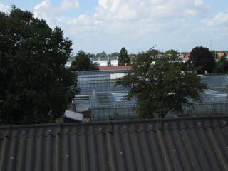 IMG 4393