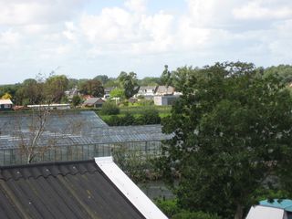 IMG 4394