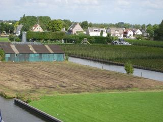 IMG 4398