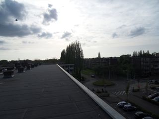 SDC16195