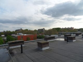 SDC16197