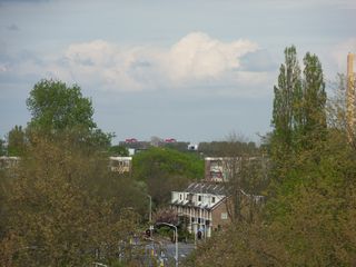 SDC16203
