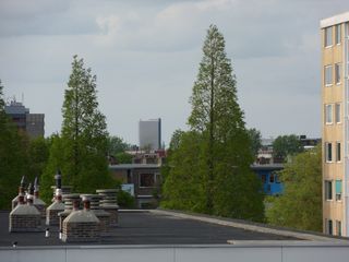 SDC16205