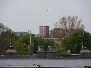 SDC16206