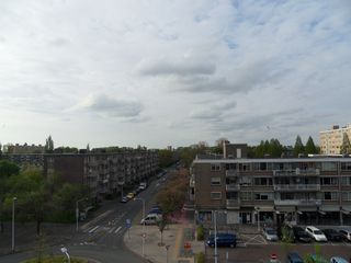 SDC16209