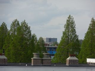SDC16210