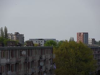 SDC16211
