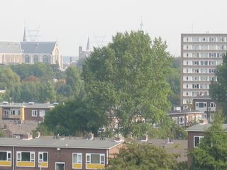 RijnVliet2