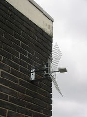 img 0520