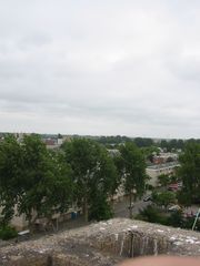 img 0526