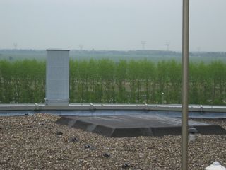 Rijnlands panorama23