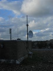 Robijn1 3