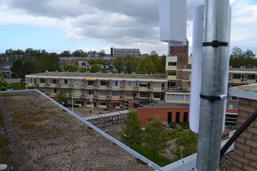 Robijn3 007